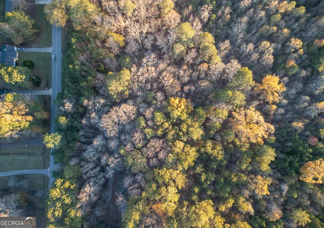 Photo 3 of Land for sale at 3330 Hwy 3 N, Hampton, GA 30228 | MLS# 10427278 | Listing updated on 2026-07-12