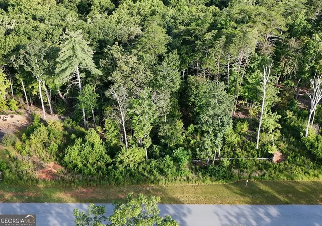5th image of 0 Waterfall Ln, Sautee Nacoochee, GA 30571 | MLS# 10819317