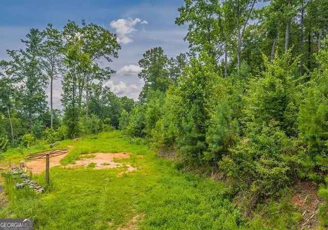 Photo 4 of Land for sale at Lot 166 Pinnacle Dr #166, Ellijay, GA 30540 | MLS# 10830276 | Listing updated on 2026-09-04