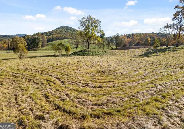 3rd image of Lot 14 Bravo Way, Talking Rock, GA 30175 | MLS# 10456417