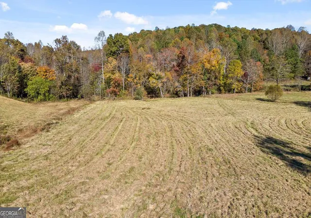 5th image of Lot 14 Bravo Way, Talking Rock, GA 30175 | MLS# 10456417