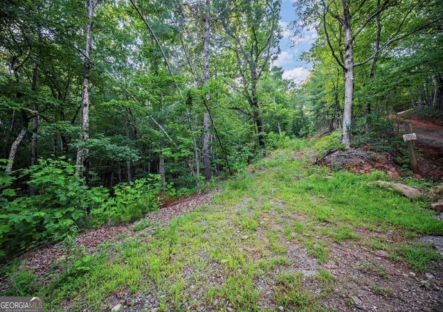 Photo 1 of Land for sale at Lt 760 Morton Dr, Ellijay, GA 30540 | MLS# 10811574 | Listing updated on 2026-08-06