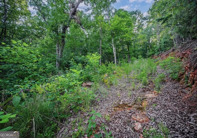 Photo 1 of Land for sale at Lt 760 Morton Dr, Ellijay, GA 30540 | MLS# 10811574 | Listing updated on 2026-08-06