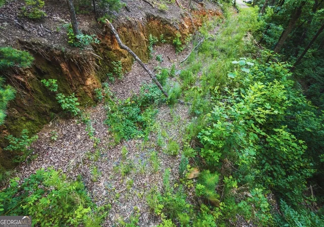 Photo 2 of Land for sale at Lt 760 Morton Dr, Ellijay, GA 30540 | MLS# 10811574 | Listing updated on 2026-08-06
