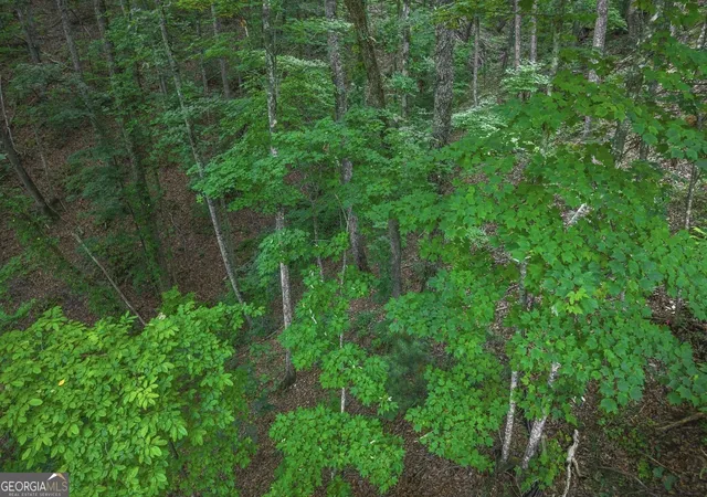 Photo 3 of Land for sale at Lt 760 Morton Dr, Ellijay, GA 30540 | MLS# 10811574 | Listing updated on 2026-08-06