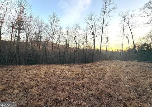 4th image of 426 Rockhouse Xing, Demorest, GA 30535 | MLS# 10786069
