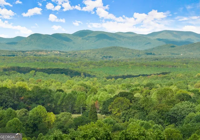 1st image of 25 Long Mountain Trl, Cleveland, GA 30528 | MLS# 10396455