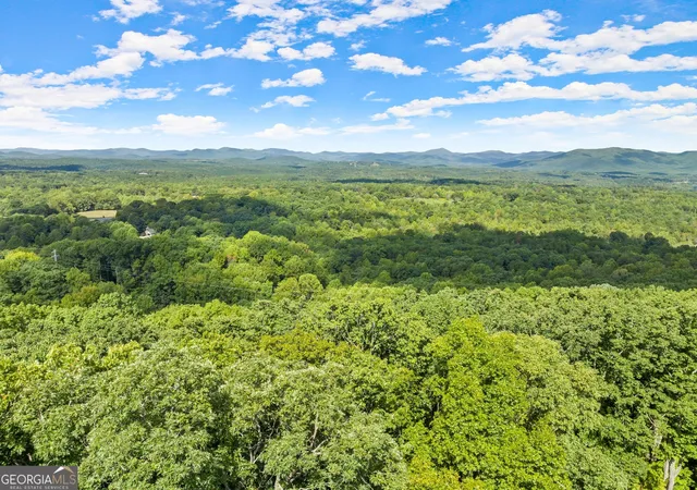 37th image of 25 Long Mountain Trl, Cleveland, GA 30528 | MLS# 10396455