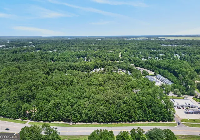 2nd image of 0 Harris Trail Rd, Richmond Hill, GA 31324 | MLS# 10829897