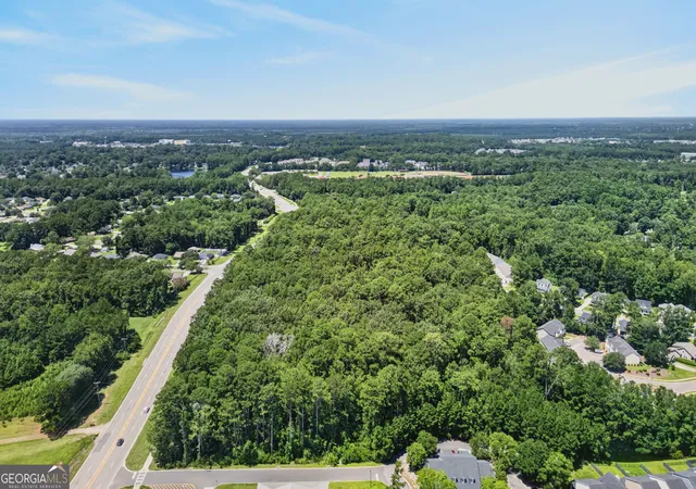 3rd image of 0 Harris Trail Rd, Richmond Hill, GA 31324 | MLS# 10829897