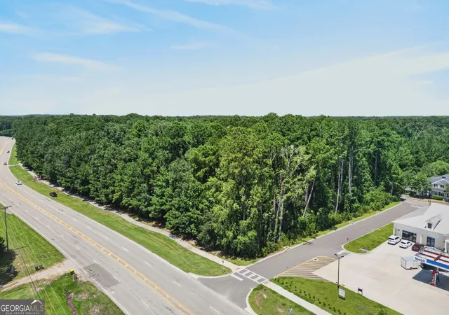 4th image of 0 Harris Trail Rd, Richmond Hill, GA 31324 | MLS# 10829897