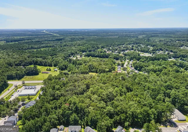 5th image of 0 Harris Trail Rd, Richmond Hill, GA 31324 | MLS# 10829897