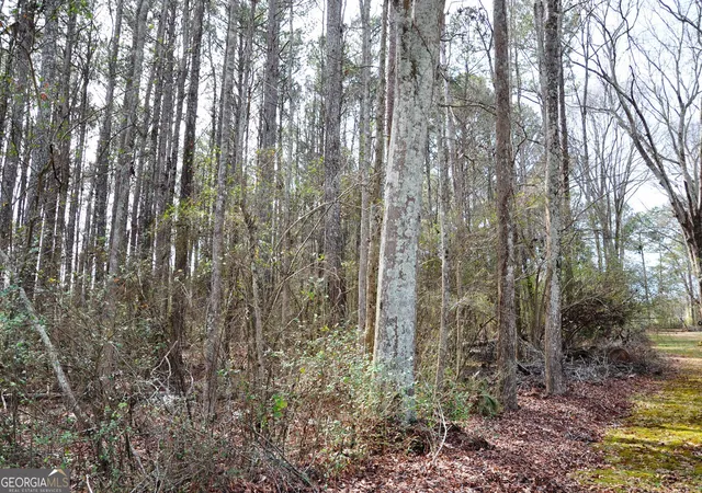 Photo 4 of Land for sale at 0 Monroe Hwy, Bethlehem, GA 30620 | MLS# 10466108 | Listing updated on 2026-10-31