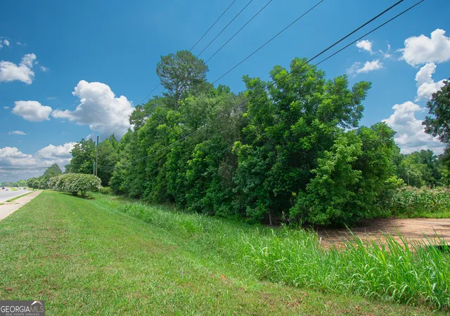 Homes for sale in Colbert, GA | 0 Hwy 72 W, Colbert, GA 30628 | MLS# 10802803