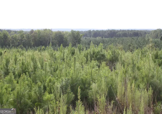 Photo 2 of Land for sale at 0 Balerma Church Rd #TRACT 1, Sparta, GA 31087 | MLS# 10833896 | Listing updated on 2026-09-28