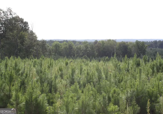 Photo 3 of Land for sale at 0 Balerma Church Rd #TRACT 1, Sparta, GA 31087 | MLS# 10833896 | Listing updated on 2026-09-28