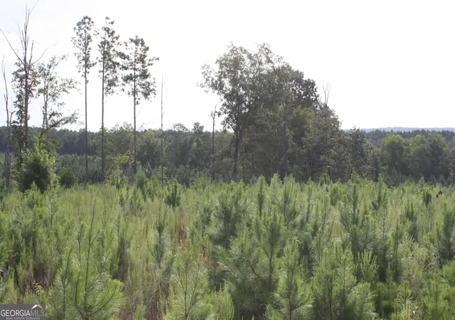 Photo 3 of Land for sale at 0 Balerma Church Rd #TRACT 1, Sparta, GA 31087 | MLS# 10833896 | Listing updated on 2026-09-28