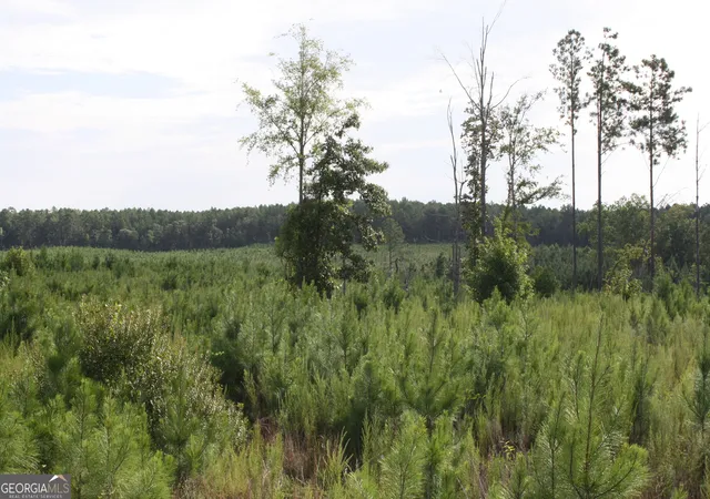 Photo 4 of Land for sale at 0 Balerma Church Rd #TRACT 1, Sparta, GA 31087 | MLS# 10833896 | Listing updated on 2026-09-28