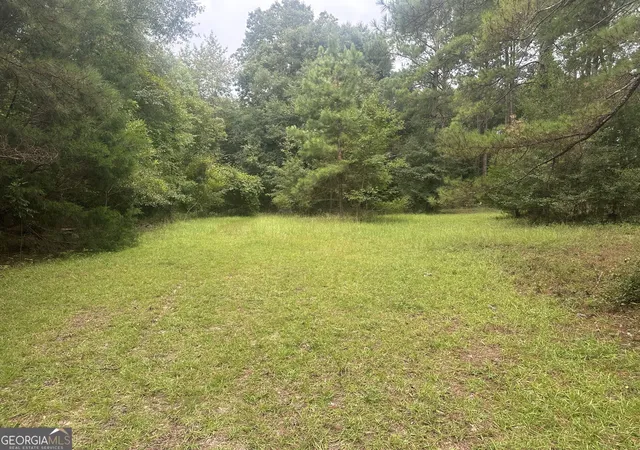 32nd image of 3693 Joyner Oglesby Rd, Sardis, GA 30456 | MLS# 10823928