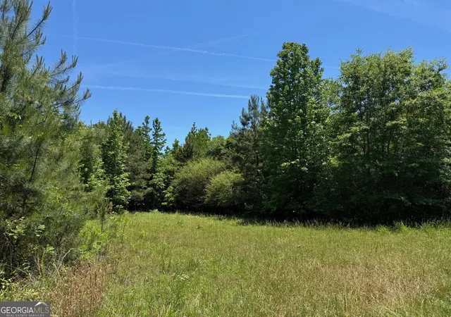3rd image of 0 Whitesville Rd, Lagrange, GA 30240 | MLS# 10773389