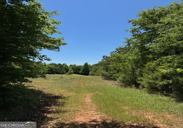 5th image of 0 Whitesville Rd, Lagrange, GA 30240 | MLS# 10773389