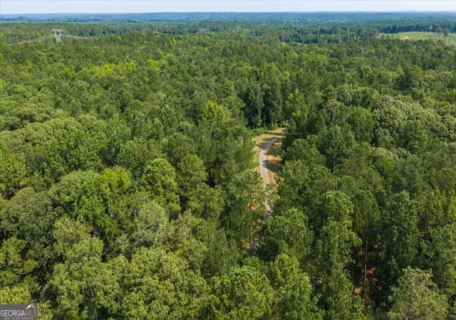 73rd image of 252 Rum Creek Pass, Juliette, GA 31046 | MLS# 10825562