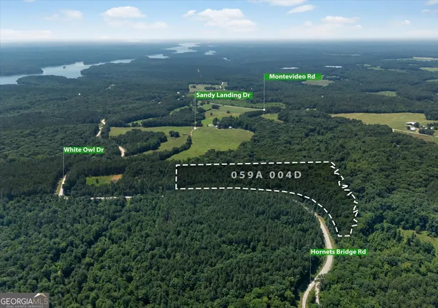 Photo 2 of Land for sale at 0 Hornets Bridge Rd, Elberton, GA 30635 | MLS# 10800037 | Listing updated on 2026-08-25