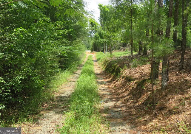 Homes for sale in Lumpkin, GA | 0 0 Louise Bell Road, Lumpkin, GA 31815 | MLS# 10536398