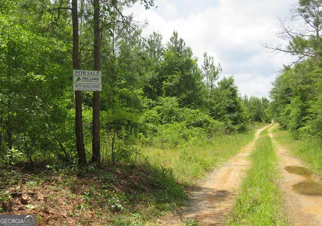 Homes for sale in Lumpkin, GA | 0 0 Louise Bell Road, Lumpkin, GA 31815 | MLS# 10536398