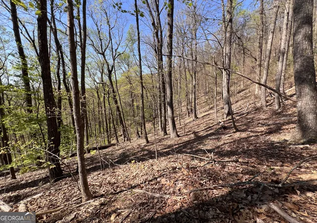 Photo 3 of Land for sale at 4546 Sassafras Ct #4546, Jasper, GA 30143 | MLS# 10805968 | Listing updated on 2026-07-29