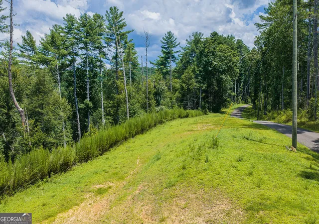 Photo 2 of Land for sale at Tract C Hicks Ford Rd, Ellijay, GA 30540 | MLS# 10822795 | Listing updated on 2026-08-24