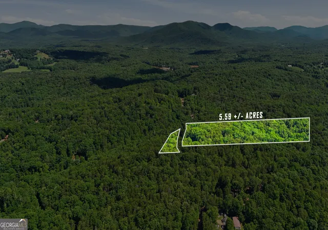 16th image of 95 Black Bear Trail, Cleveland, GA 30528 | MLS# 10770907