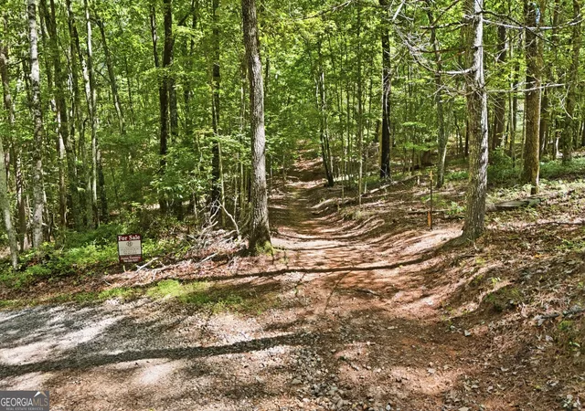 1st image of 95 Black Bear Trail, Cleveland, GA 30528 | MLS# 10770907