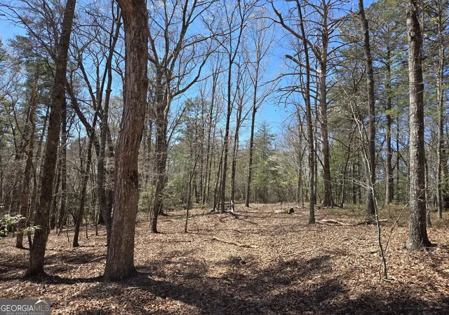 2nd image of 95 Black Bear Trail, Cleveland, GA 30528 | MLS# 10770907