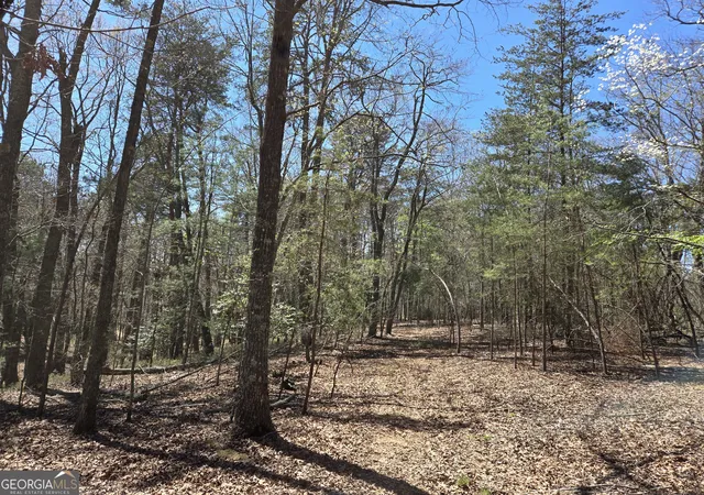 3rd image of 95 Black Bear Trail, Cleveland, GA 30528 | MLS# 10770907