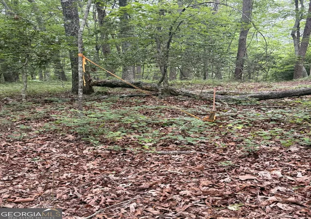 4th image of 95 Black Bear Trail, Cleveland, GA 30528 | MLS# 10770907