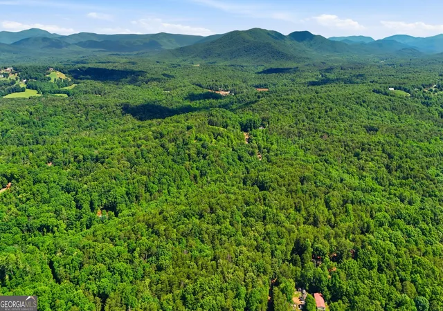 5th image of 95 Black Bear Trail, Cleveland, GA 30528 | MLS# 10770907