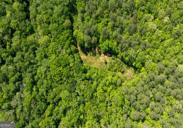 20th image of 0 Hwy 54 & Bear Creek Road #120.92+/- ACRES, Moreland, GA 30259 | MLS# 10821686