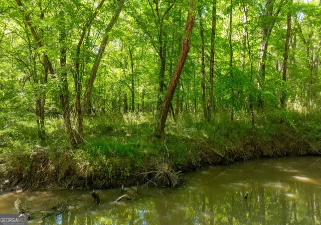 image of 0 Hwy 54 & Bear Creek Road #120.92+/- ACRES, Moreland, GA 30259 | MLS# 10821686