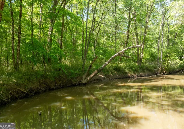 image of 0 Hwy 54 & Bear Creek Road #120.92+/- ACRES, Moreland, GA 30259 | MLS# 10821686