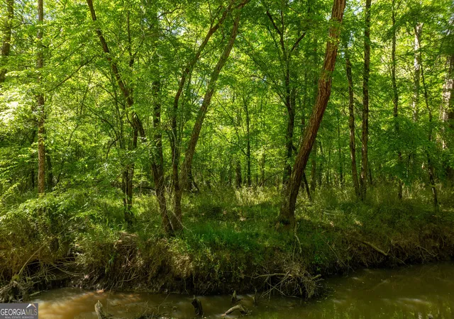image of 0 Hwy 54 & Bear Creek Road #120.92+/- ACRES, Moreland, GA 30259 | MLS# 10821686