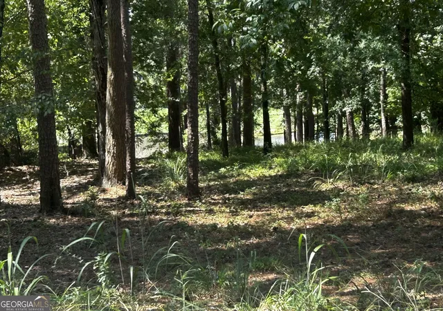 1st image of 1191 Lake View Ct, Greensboro, GA 30642 | MLS# 10831699