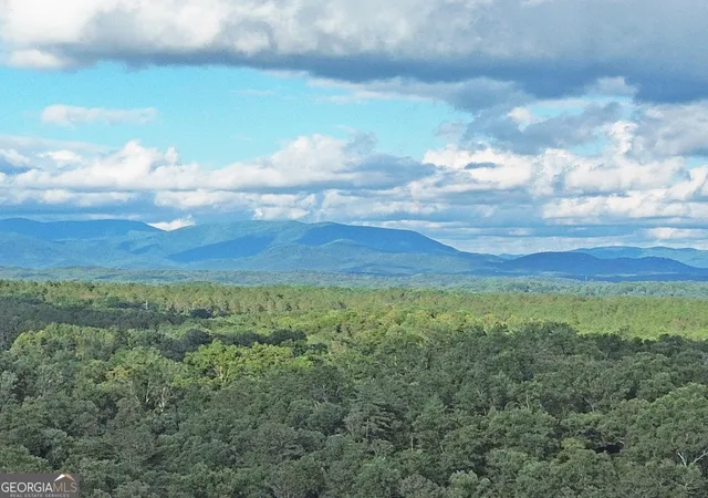 1st image of Lot 20 Mt Springer Rd, Ellijay, GA 30540 | MLS# 10794509