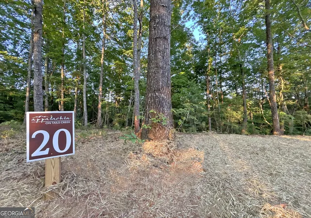 2nd image of Lot 20 Mt Springer Rd, Ellijay, GA 30540 | MLS# 10794509