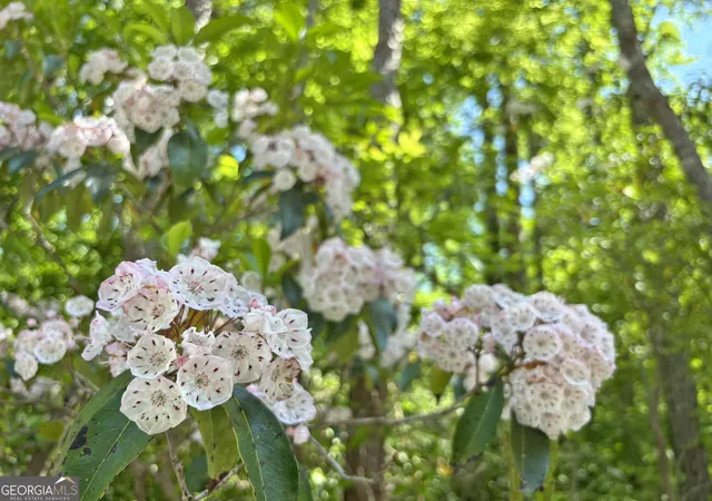 3rd image of Lot 20 Mt Springer Rd, Ellijay, GA 30540 | MLS# 10794509