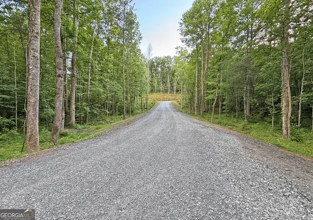 5th image of Lot 20 Mt Springer Rd, Ellijay, GA 30540 | MLS# 10794509