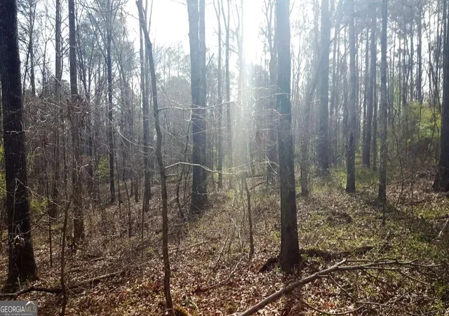 3rd image of 0 Stagecoach Rd #20.17 ACRES, Stockbridge, GA 30281 | MLS# 10715504