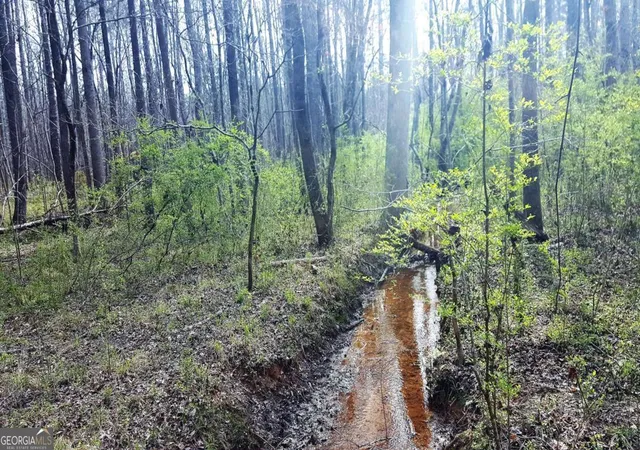 4th image of 0 Stagecoach Rd #20.17 ACRES, Stockbridge, GA 30281 | MLS# 10715504