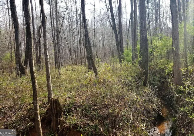 5th image of 0 Stagecoach Rd #20.17 ACRES, Stockbridge, GA 30281 | MLS# 10715504
