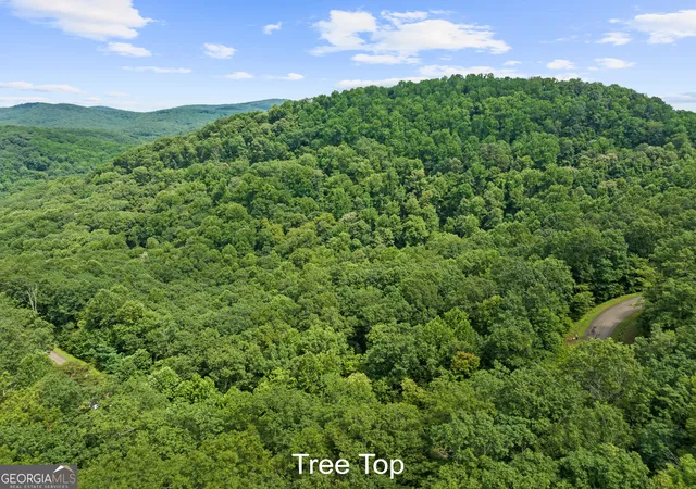 Photo 2 of Land for sale at 233 Stone Cliff Dr #233, Ellijay, GA 30536 | MLS# 10797396 | Listing updated on 2026-07-18